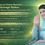 How to Apply Online for Punjab Nigehban Ramzan Package 2026
